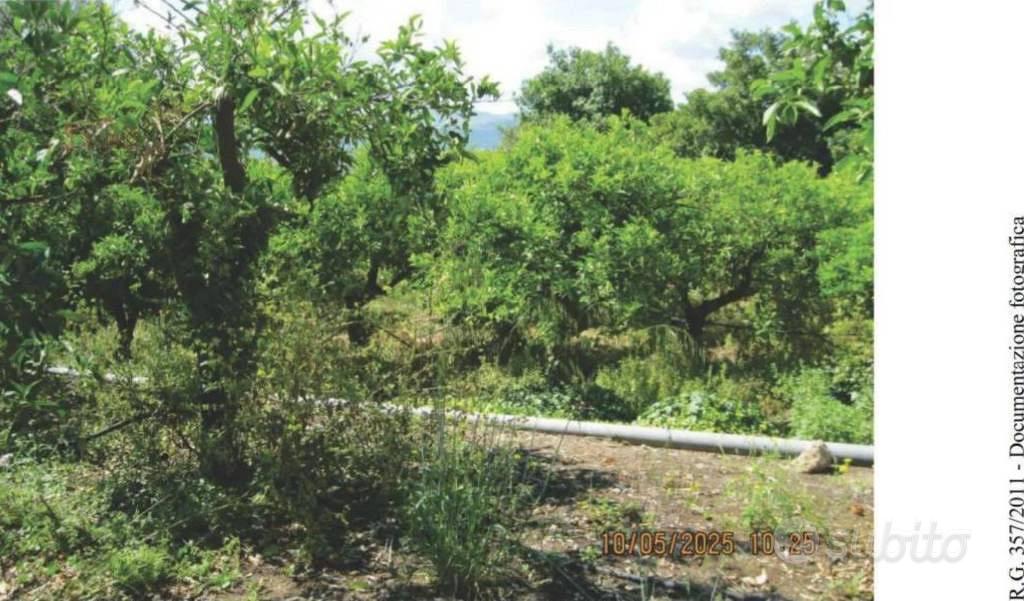 Immobile in asta di 12550 m² a Francofonte - Vista 3