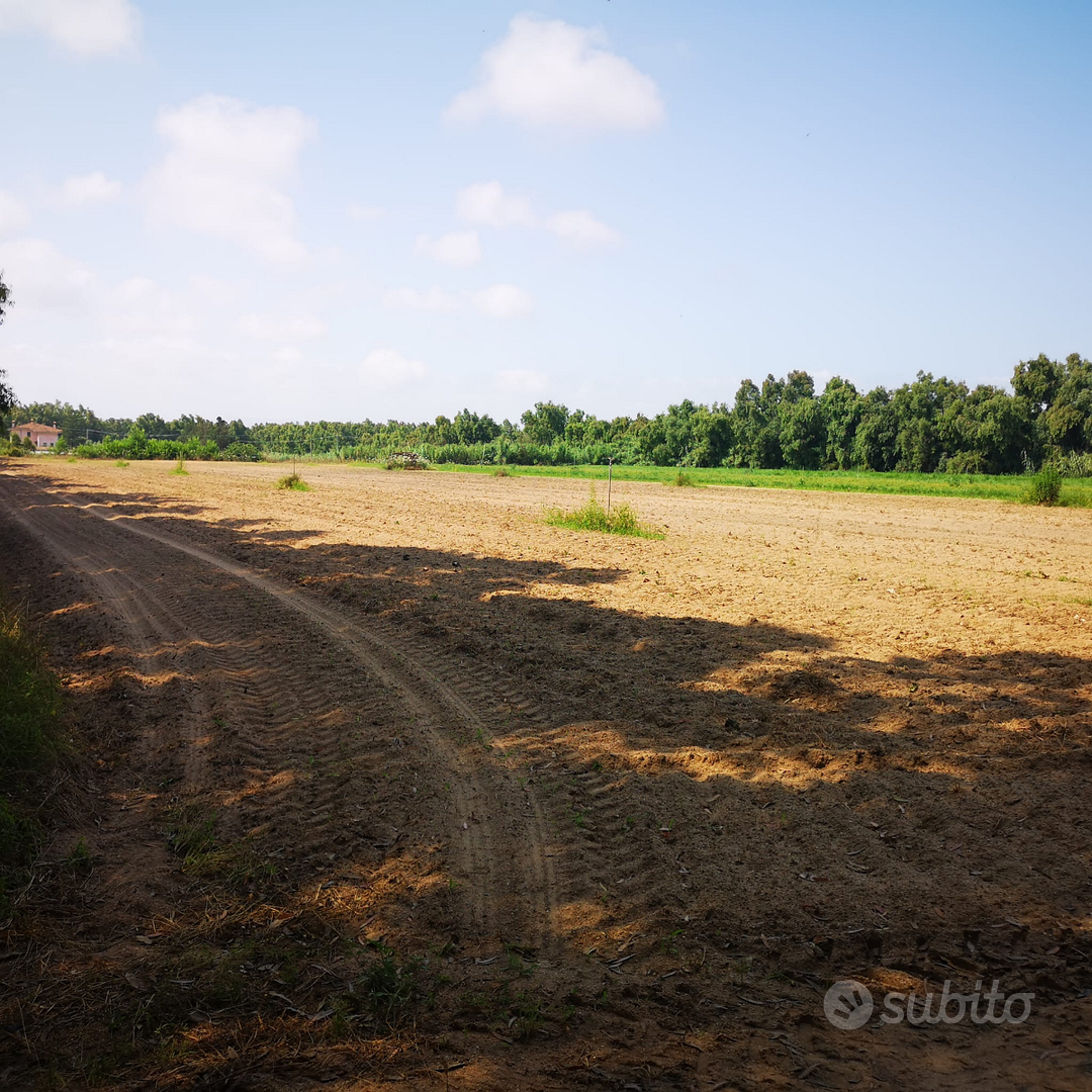 Terreno agricolo - Vista 5
