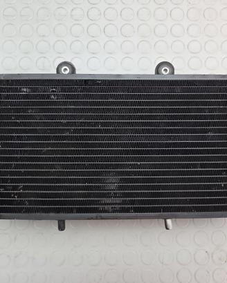 RADIATORE ACQUA APRILIA PEGASO 650 2001 2004 IE 20