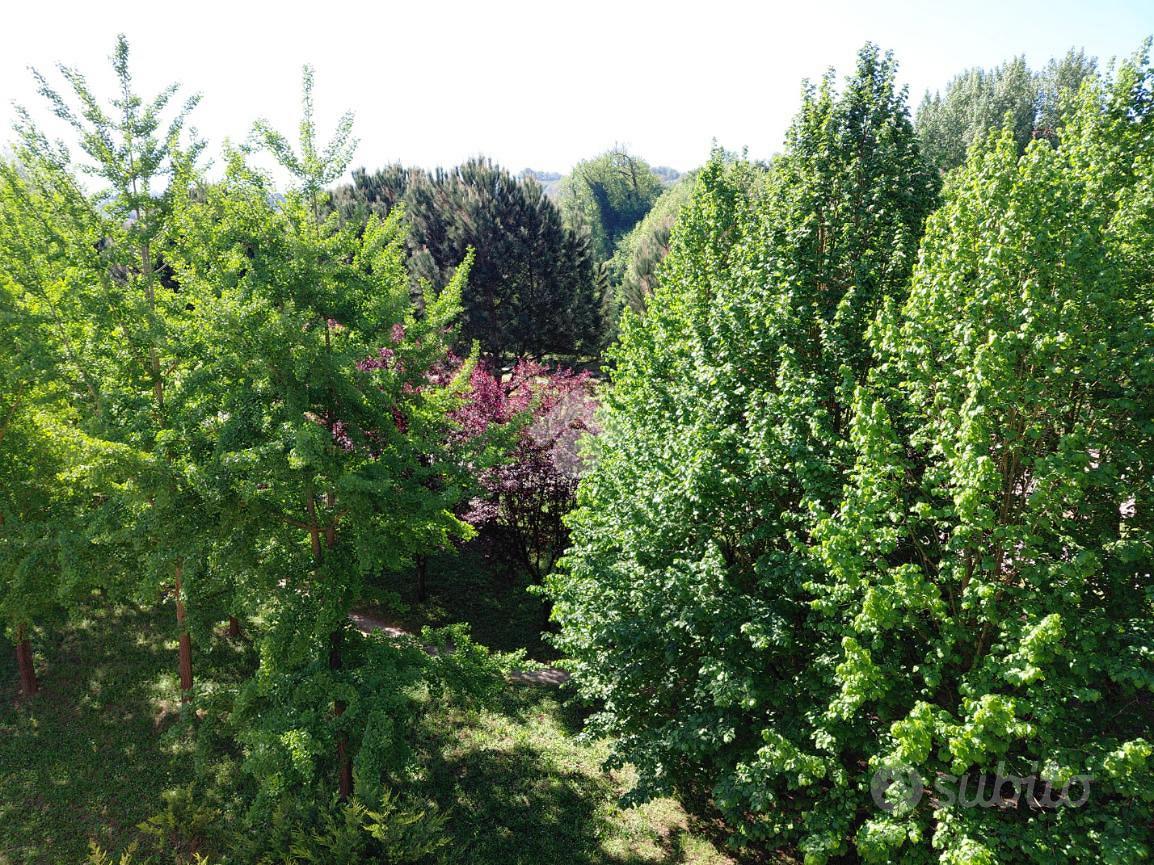 Appartamento – Avellino, Pianodardine - Vista 5