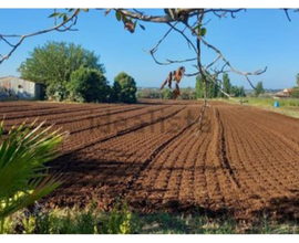 Terreno agricolo