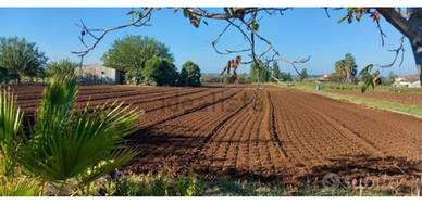 Terreno agricolo