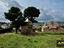 Immagine 10