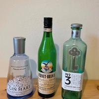 Bottiglie liquori Vuote - Gin