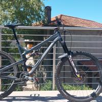 intense tracer t275 carbon