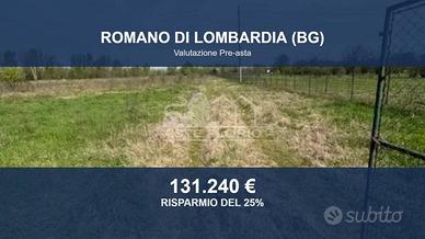 Immobile in asta di 23821 m² a Romano di Lombardia