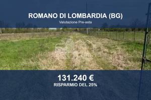 Immobile in asta di 23821 m² a Romano di Lombardia