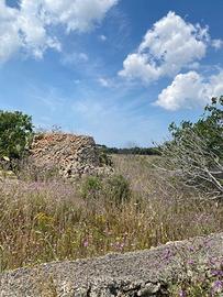 Terreno Agricolo Sannicola [Cod. rif 3235316VRG]
