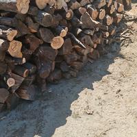 Legna da ardere d'olivo per camini, forni,barbecue