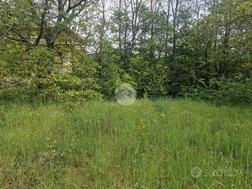 TER. RESIDENZIALE A PIZZOLI