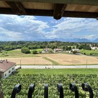 Casale in pietra ristrutturato con vigneto