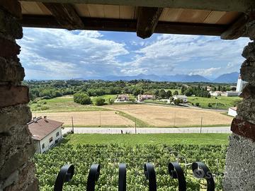 Casale in pietra ristrutturato con vigneto