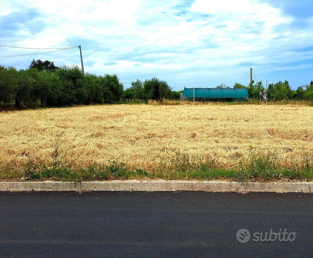 Terreno Agricolo 1.500mq fronte strada con serviz - Vista 3