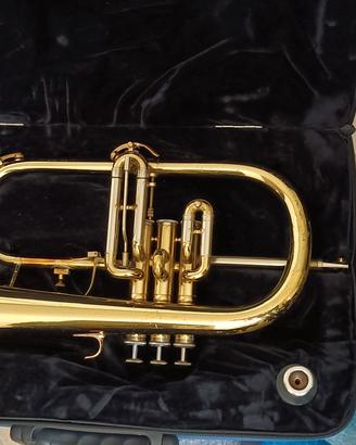 flicorno soprano 