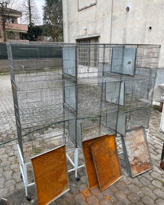 Gabbia da cova 9 posti