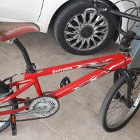 BMX scorpion