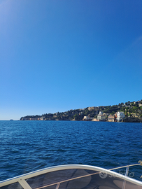 Skipper / comandante per trasferimenti