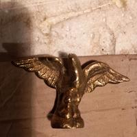 aquila della macchina del caffè victoria arduino