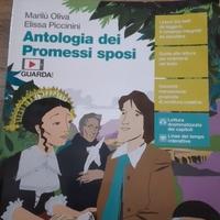 libro scuola superiori promessi sposi 