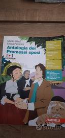 libro scuola superiori promessi sposi 