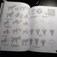libro di origami