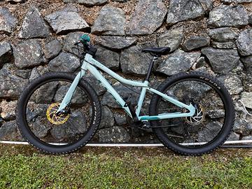 Scott Contessa 24’