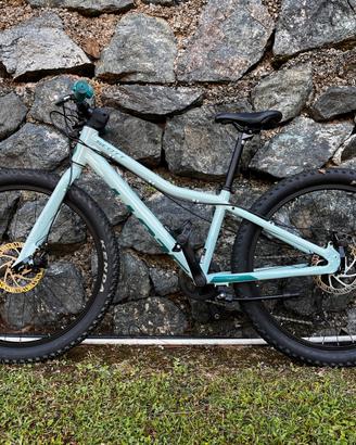 Scott Contessa 24’