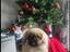 Immagine 5