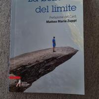 Libro usato Antonio Busato "La bellezza del limnit