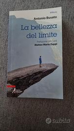 Libro usato Antonio Busato "La bellezza del limnit