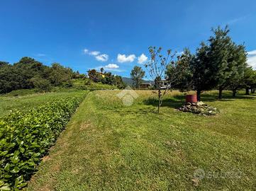 TER. AGRICOLO A OLGIATE MOLGORA