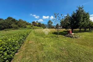 TER. AGRICOLO A OLGIATE MOLGORA