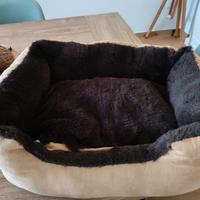 Cesta x Cane o Gatto