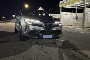 Alfa romeo junior
