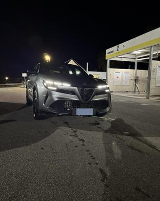 Alfa romeo junior