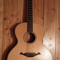 Chitarra acustica cort ntl 20