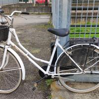 Ruote del 26 con cestino, luci con dinamo