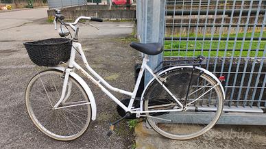 Ruote del 26 con cestino, luci con dinamo