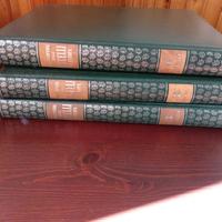 enciclopedia uccelli europa Rizzlli