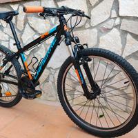 Lapierre ruote  da 24"