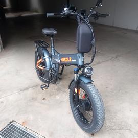 bicicletta elettrica WAKOLE