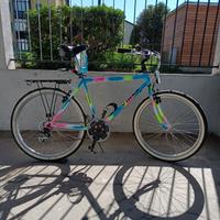 Bicicletta da Città