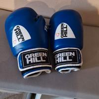 guanti da boxe Green Hill Tiger da 12 oz