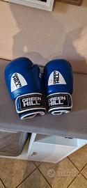 guanti da boxe Green Hill Tiger da 12 oz