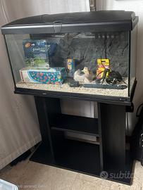 Acquario 100 litri con mobiletto 