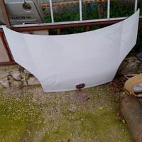 Cofano fiorino biper