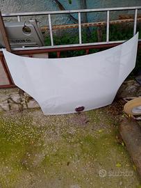 Cofano fiorino biper