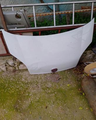 Cofano fiorino biper