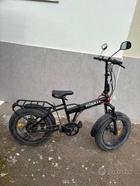 bicicletta elettrica 