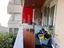 Immagine 12